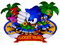 SONIC3D